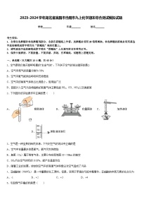 2023-2024学年湖北省宜昌市当阳市九上化学期末综合测试模拟试题含答案