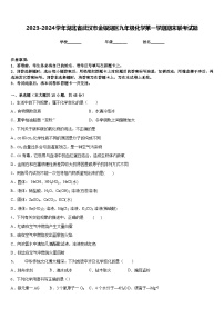 2023-2024学年湖北省武汉市金银湖区九年级化学第一学期期末联考试题含答案