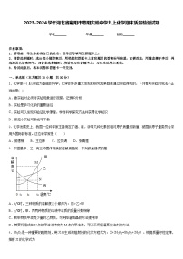 2023-2024学年湖北省襄阳市枣阳实验中学九上化学期末质量检测试题含答案