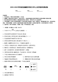 2023-2024学年湖北省襄阳市老河口市九上化学期末经典试题含答案