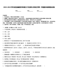 2023-2024学年湖北省襄阳市樊城区太平店镇九年级化学第一学期期末调研模拟试题含答案