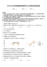 2023-2024学年湖北省黄冈市初级中学九上化学期末达标测试试题含答案