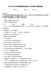 2023-2024学年湖北省黄冈市麻城市九上化学期末考试模拟试题含答案