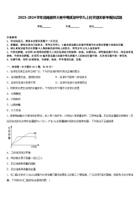 2023-2024学年湖南省师大附中梅溪湖中学九上化学期末联考模拟试题含答案