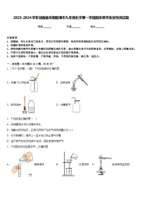 2023-2024学年湖南省岳阳临湘市九年级化学第一学期期末教学质量检测试题含答案