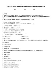 2023-2024学年湖南省岳阳市岳阳县九上化学期末达标检测模拟试题含答案