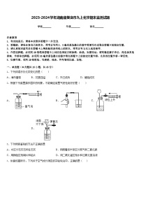 2023-2024学年湖南省娄底市九上化学期末监测试题含答案