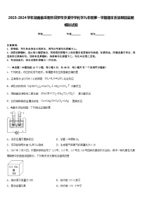 2023-2024学年湖南省岳阳市汨罗市沙溪中学化学九年级第一学期期末质量跟踪监视模拟试题含答案