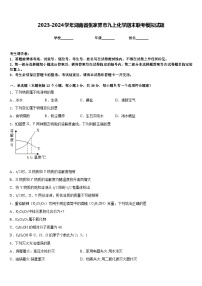 2023-2024学年湖南省张家界市九上化学期末联考模拟试题含答案