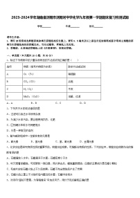 2023-2024学年湖南省浏阳市浏阳河中学化学九年级第一学期期末复习检测试题含答案