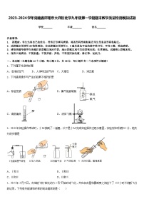 2023-2024学年湖南省邵阳市大祥区化学九年级第一学期期末教学质量检测模拟试题含答案