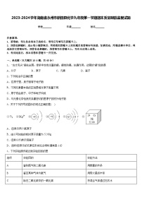 2023-2024学年湖南省永州市新田县化学九年级第一学期期末质量跟踪监视试题含答案