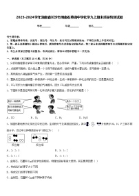 2023-2024学年湖南省长沙市周南石燕湖中学化学九上期末质量检测试题含答案