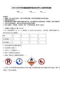 2023-2024学年湖南省益阳市赫山区化学九上期末预测试题含答案