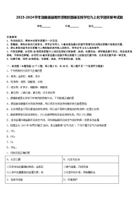 2023-2024学年湖南省益阳市资阳区国基实验学校九上化学期末联考试题含答案