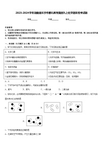 2023-2024学年湖南省长沙市雅礼教育集团九上化学期末统考试题含答案