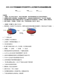 2023-2024学年湖南省长沙市实验中学九上化学期末学业质量监测模拟试题含答案