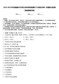 2023-2024学年湖南省长沙市师大附中教育集团第十九年级化学第一学期期末质量跟踪监视模拟试题含答案