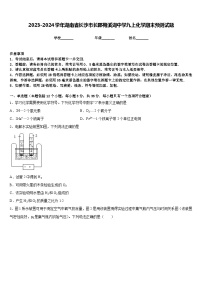 2023-2024学年湖南省长沙市长郡梅溪湖中学九上化学期末预测试题含答案