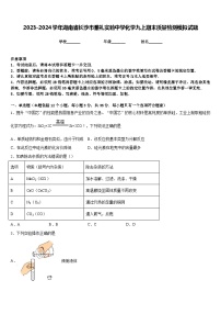 2023-2024学年湖南省长沙市雅礼实验中学化学九上期末质量检测模拟试题含答案