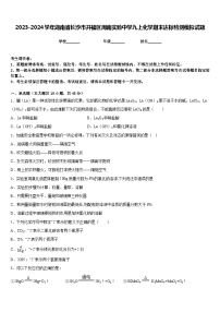 2023-2024学年湖南省长沙市开福区周南实验中学九上化学期末达标检测模拟试题含答案