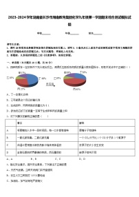 2023-2024学年湖南省长沙市周南教育集团化学九年级第一学期期末综合测试模拟试题含答案