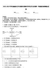 2023-2024学年湖南省长沙市浏阳市浏阳河中学化学九年级第一学期期末调研模拟试题含答案