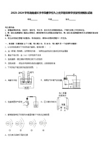 2023-2024学年湖南省长沙市怡雅学校九上化学期末教学质量检测模拟试题含答案