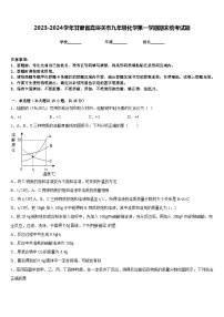 2023-2024学年甘肃省嘉峪关市九年级化学第一学期期末统考试题含答案