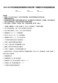 2023-2024学年甘肃省庆阳市镇原县九年级化学第一学期期末学业质量监测模拟试题含答案