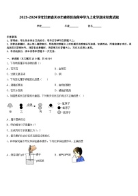 2023-2024学年甘肃省天水市麦积区向荣中学九上化学期末经典试题含答案