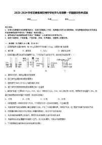 2023-2024学年甘肃张掖甘州中学化学九年级第一学期期末统考试题含答案