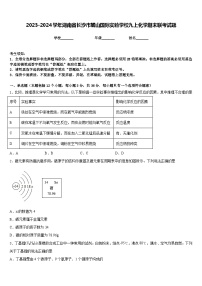 2023-2024学年湖南省长沙市麓山国际实验学校九上化学期末联考试题含答案