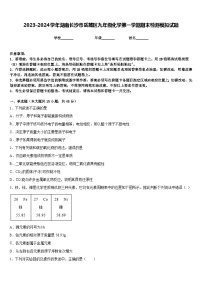 2023-2024学年湖南长沙市岳麓区九年级化学第一学期期末检测模拟试题含答案