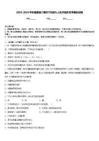 2023-2024学年福建省三明市宁化县九上化学期末统考模拟试题含答案