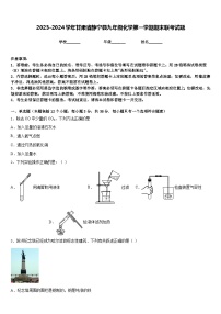 2023-2024学年甘肃省静宁县九年级化学第一学期期末联考试题含答案