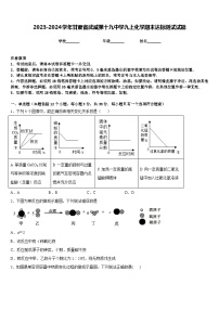 2023-2024学年甘肃省武威第十九中学九上化学期末达标测试试题含答案