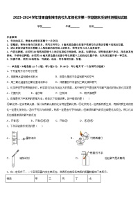 2023-2024学年甘肃省张掖市名校九年级化学第一学期期末质量检测模拟试题含答案