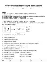 2023-2024学年福建省福州市福清市九年级化学第一学期期末监测模拟试题含答案