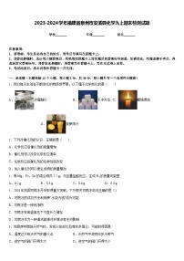 2023-2024学年福建省泉州市安溪县化学九上期末检测试题含答案