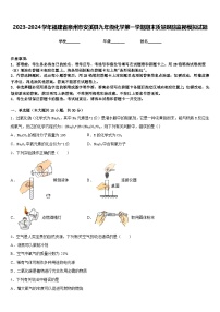 2023-2024学年福建省泉州市安溪县九年级化学第一学期期末质量跟踪监视模拟试题含答案