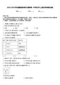 2023-2024学年福建省泉州市永春县第一中学化学九上期末统考模拟试题含答案