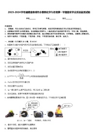 2023-2024学年福建省泉州市永春县化学九年级第一学期期末学业质量监测试题含答案