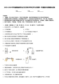 2023-2024学年福建福州市台江区华伦中学化学九年级第一学期期末经典模拟试题含答案