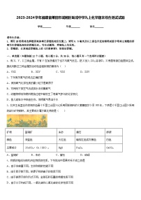 2023-2024学年福建省莆田市城厢区砺成中学九上化学期末综合测试试题含答案