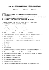 2023-2024学年福建省莆田市砺成中学化学九上期末联考试题含答案