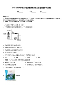 2023-2024学年辽宁省抚顺市新宾县九上化学期末考试试题含答案