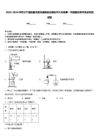 2023-2024学年辽宁省抚顺市新宾满族自治县化学九年级第一学期期末教学质量检测试题含答案