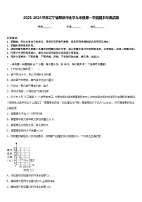 2023-2024学年辽宁省阜新市化学九年级第一学期期末经典试题含答案