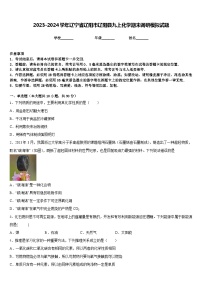 2023-2024学年辽宁省辽阳市辽阳县九上化学期末调研模拟试题含答案